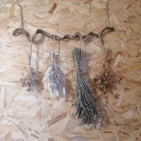 Florent Le Vieil, Chez Steph Et Flo 度假居 Saint-Florent-le-Vieil