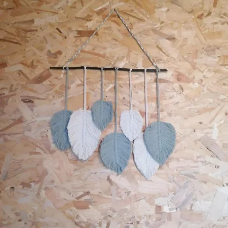 Florent Le Vieil, Chez Steph Et Flo *