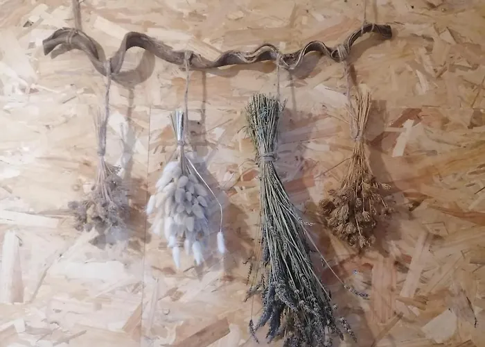 Florent Le Vieil, Chez Stéph Et Flo Ferienhaus Saint-Florent-le-Vieil